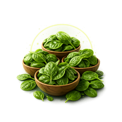 5 Bowls of Spinach