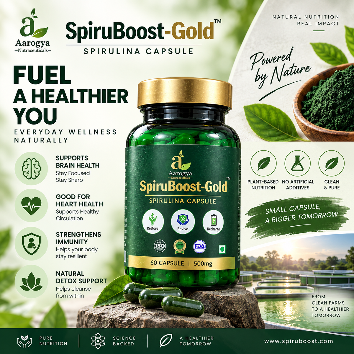 SpiruBoost Spirulina Capsule – 60 Capsules | 500mg